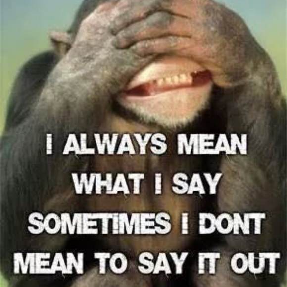 Meet your Posher, David - Picture 4 of 5